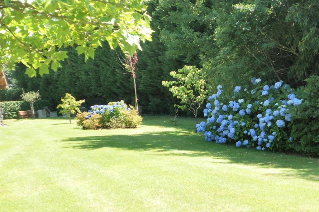 Les Volets Bleus Bed & Breakfast Arcangues Bagian luar foto